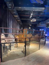 -酷嗒动物文化乐园(cutezoo西溪乐天城店)