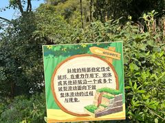 -天鹿湖森林公园