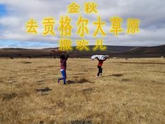 -贡格尔草原