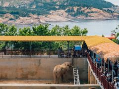 -西霞口神雕山野生动物世界