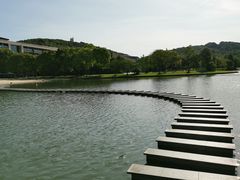 -上海佘山世茂艾美酒店
