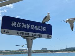 -海驴岛(荣成市)