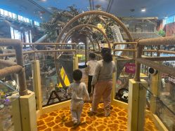 -卡通尼·Safari非洲探索乐园·生日会(金桥国际商业广场店)