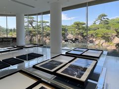 -罗红摄影艺术馆