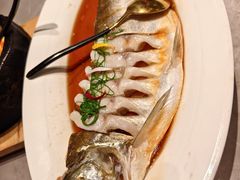 清蒸白水鱼-醉庐·新上海菜(南京西路店)