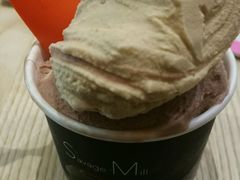 -野人先生现做冰淇淋(北京顺义祥云小镇店)