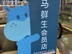 -盒马鲜生(大成店)