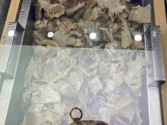 -星海汇海鲜自助烤肉火锅(百大店)