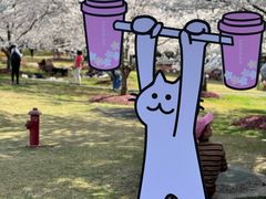 -顾村公园