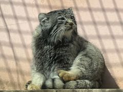 -青藏高原野生动物园