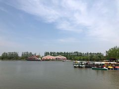 -上海长兴岛郊野公园