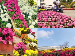 -上海大学(宝山校区)