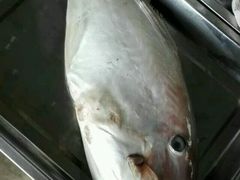 -小六农家乐(崇明西沙湿地店)