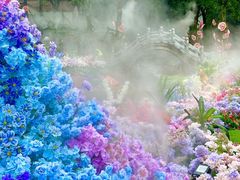 -洛阳白云山景区