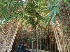 -美心红酒小镇游乐园
