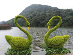 -广州市石门国家森林公园