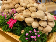 活体松香菇-湯系·煲汤手艺人(东二环泰禾广场店)
