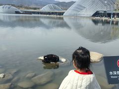 -太原动物园