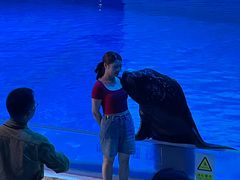 -芜湖新华联大白鲸海洋公园