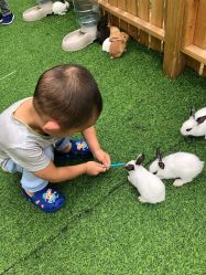 -萌宠亲子动物乐园(槐房万达店)