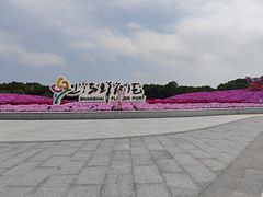 -上海鲜花港