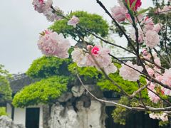 -水绘园