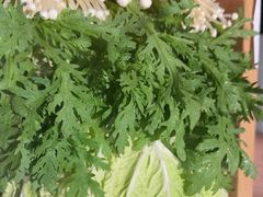 -蝎王府羊蝎子(西直门店)