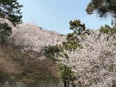 -北京西山国家森林公园