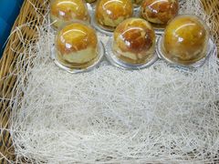 -卡吉诺动物奶油生日蛋糕(中原路店)