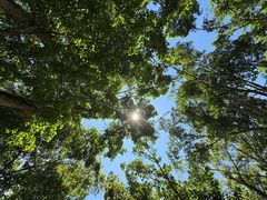 -野象谷景区