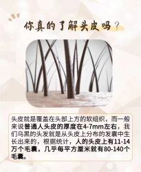 -木北造型