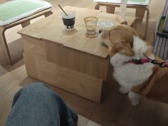 -2326 Coffee Roaster咖啡豆可选店(林肯公园店)