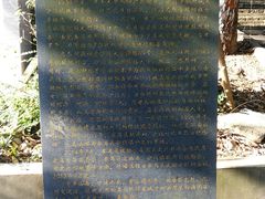 -滴水岩森林公园