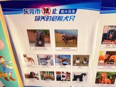 -宠颐生宠物医院外科·内科·皮肤科·影像科(石龙店)