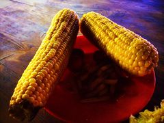 密云玫瑰情园-密云玫瑰情园