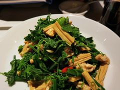 橄榄油鲜腐竹拌丝瓜尖-北平楼·烤鸭·北京菜(牡丹园店)