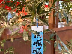 -三圣花乡旅游区