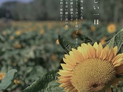 -艾溪湖湿地公园