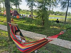 -春花秋色城市公园