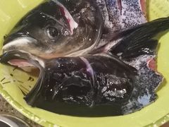 千岛湖柴火烧鱼-好灶头妈妈菜·千岛湖柴火鱼餐厅(桐庐店)