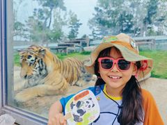 -西霞口神雕山野生动物世界