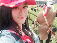 -优游吧斯邹族文化部落