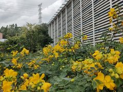 -中国移动南方基地