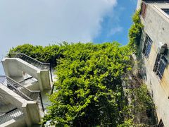 -海口骑楼老街历史文化街区