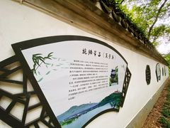 -上海佘山国家森林公园天马山园