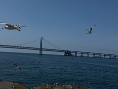 -星海广场