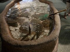 -郑庄脂渣海鲜楼(九水路店)