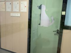 -半岛宠物医院24小时(科华中路店)