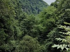 -碧峰峡风景区