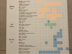 -北京周口店北京人遗址博物馆